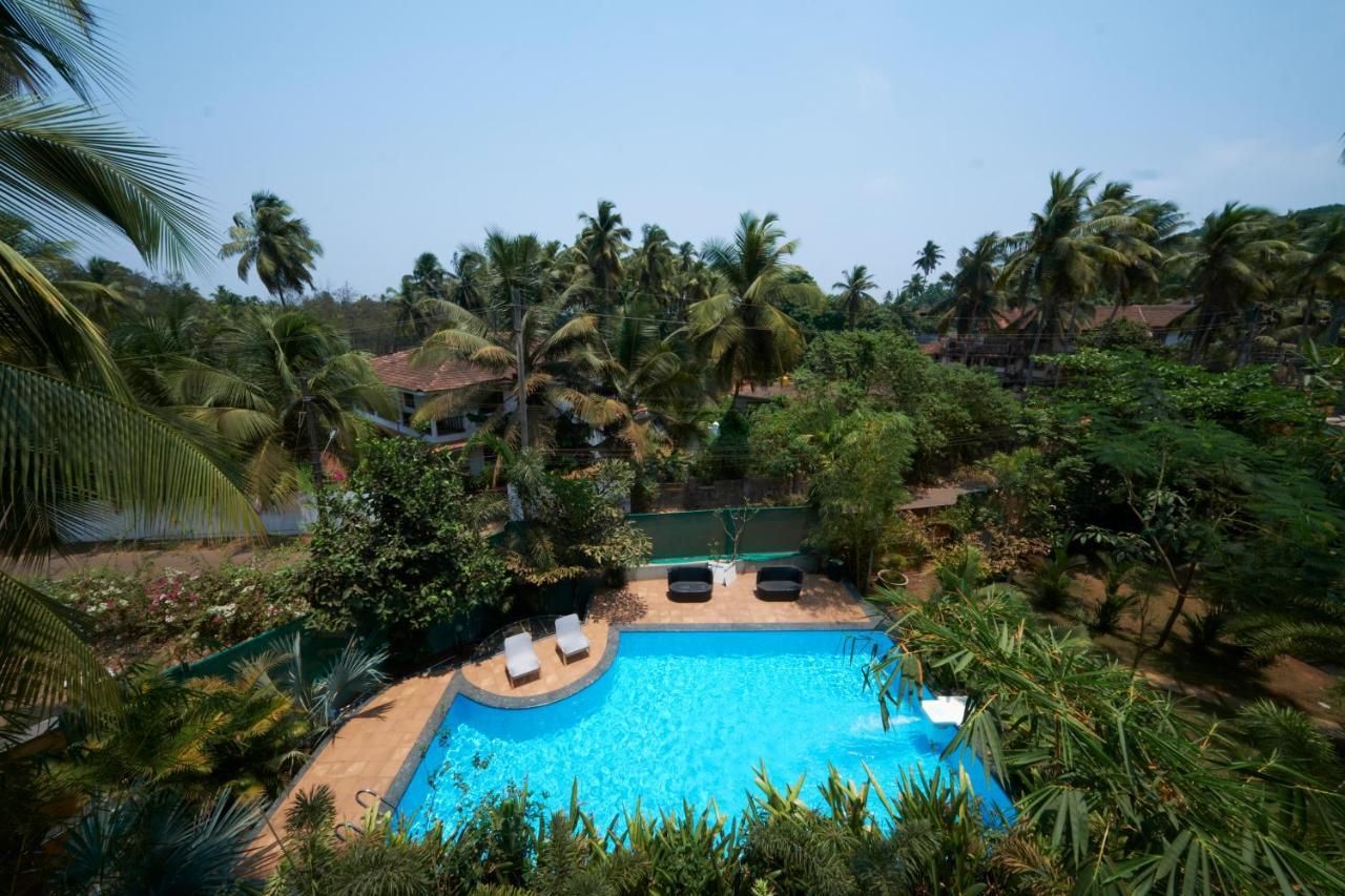 Fig House Anjuna-Chapora Road , Siolim 1Bhk Suite Oxel Buitenkant foto