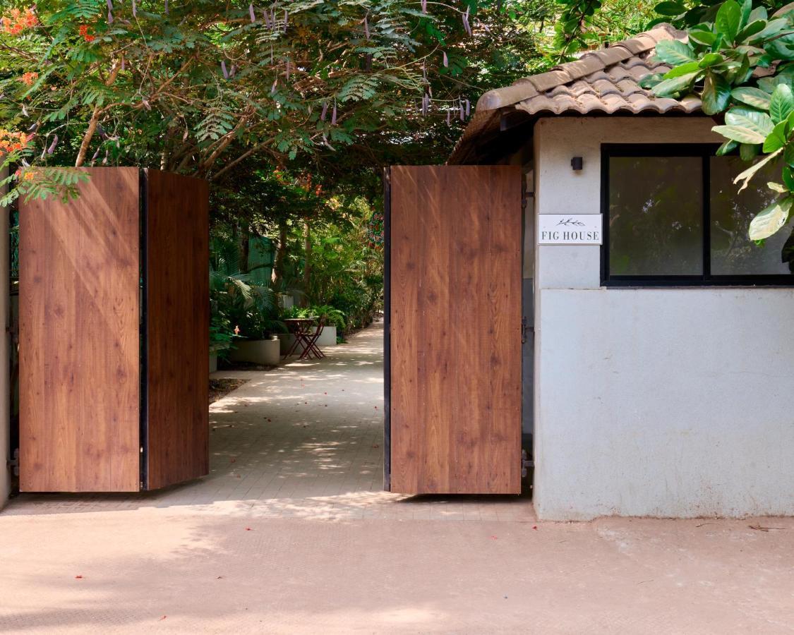 Fig House Anjuna-Chapora Road , Siolim 1Bhk Suite Oxel Buitenkant foto